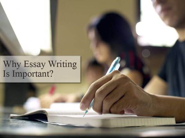 Importance of Essay Writing Importance of Essay Writing