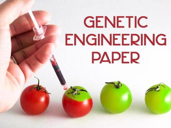 Genetic Engineering Paper