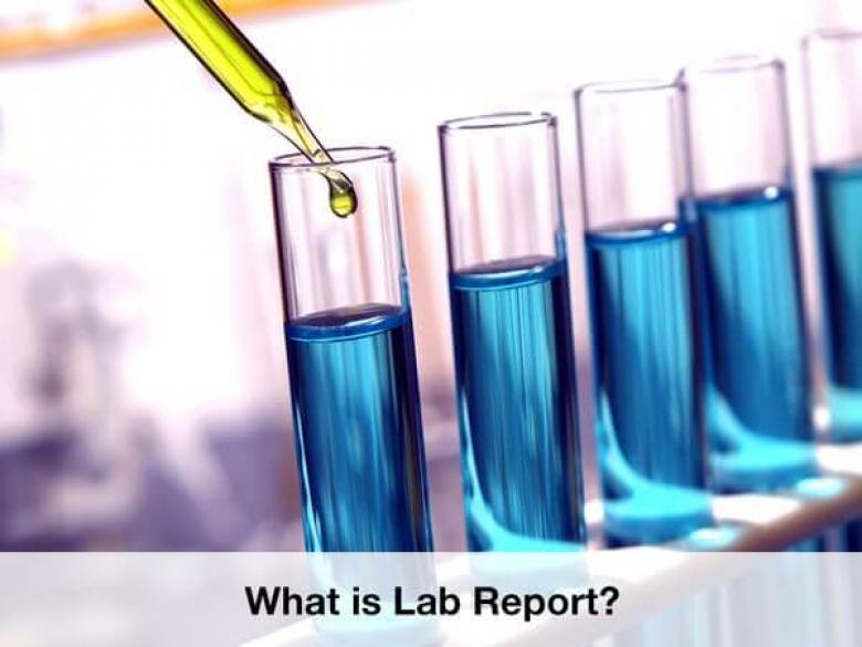 Understanding the Essence of a Lab Report